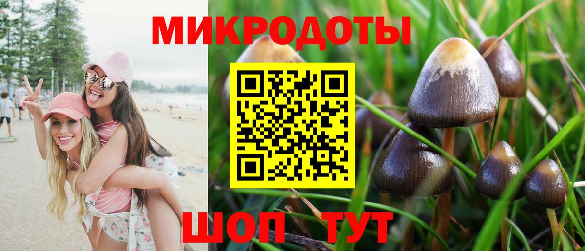 Галлюциногенные грибы Psilocybine cubensis  Вход с VPN  Сухой Лог 