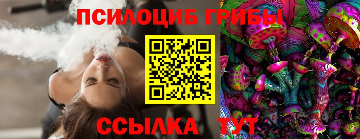 Псилоцибиновые грибы Psilocybine cubensis Сухой Лог